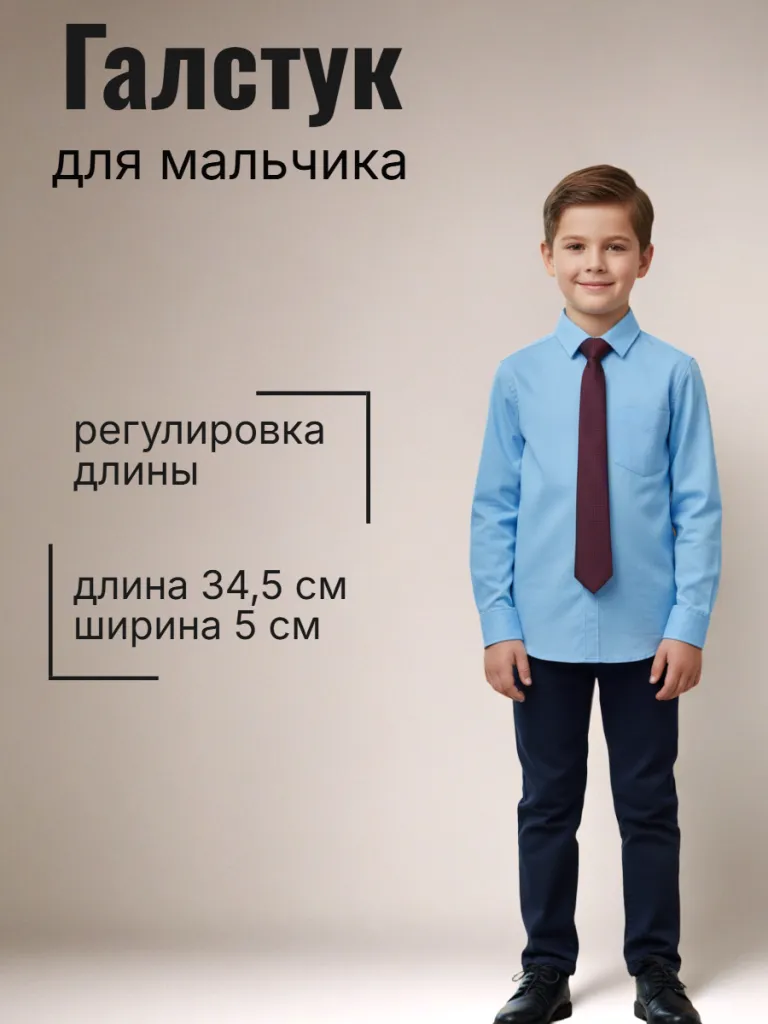 Галстук (48 бордовый/синий)