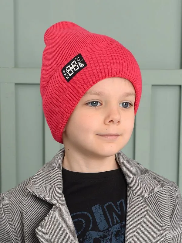Шапка зимняя для мальчика (Градус 42010ХПО2332-4 крас.)