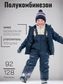 Полукомбинезон зимний детский (2137(100гр) синий)