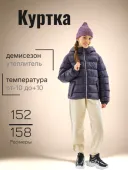 Куртка демисезонная для девочки (5167 черн.)