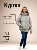 Куртка демисезонная для девочек (22764 светло-серый)