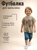 Футболка для мальчика (02616до светло-коричневый)