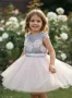 Платье нарядное для девочки (24044(24045) somon) Платье нарядное для девочки (24044(24045) somon)