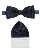 Бабочка (344)