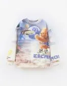 Свитшот для мальчика (252041 набивной) Свитшот для мальчика (252041 набивной)