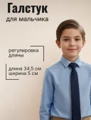 Галстук (48 синий/белый)