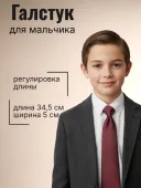 Галстук (48 бордовый/черный)