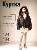 Куртка демисезонная для девочки (Элен шоколад) Куртка демисезонная для девочки (Элен шоколад)