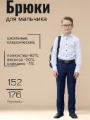 Брюки школьные для мальчика   (1755-VP-148-BY-BS)