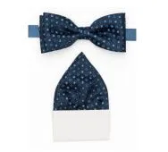 Бабочка (323)