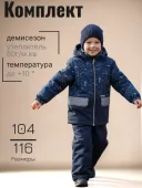 Комплект демисезонный для мальчика																														 (TOMI K24030/02933)