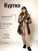 Куртка демисезонная для девочки (С-742) Куртка демисезонная для девочки (С-742)
