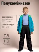 Полукомбинезон демисезонный детский (2137(с утеплит.) черный)