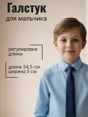 Галстук (48 синий/бежевый)
