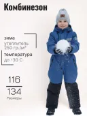 Комбинезон зимний для мальчиков (2137-943м (250) индиго)