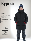 Куртка зимняя для мальчика (55564 черный)