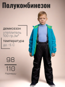 Полукомбинезон демисезонный детский (2137(с утеплит.) черный) Полукомбинезон демисезонный детский (2137(с утеплит.) черный)