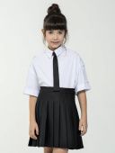Юбка школьная для девочки (0353 черный)