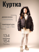 Куртка демисезонная для девочки (Элен шоколад)
