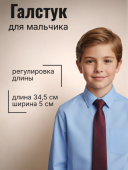 Галстук (48 бордовый)