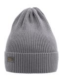 Шапка демисезонная для мальчика (Мичиган темно-серый)