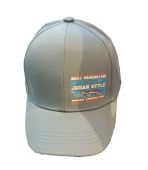 Бейсболка  для мальчика (BS-537 серо-голубой)