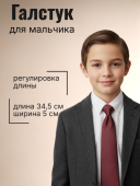 Галстук (48 бордовый/черный)