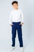 Брюки школьные для мальчика (71563K синий) Брюки школьные для мальчика (71563K синий)